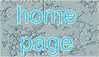 home_page